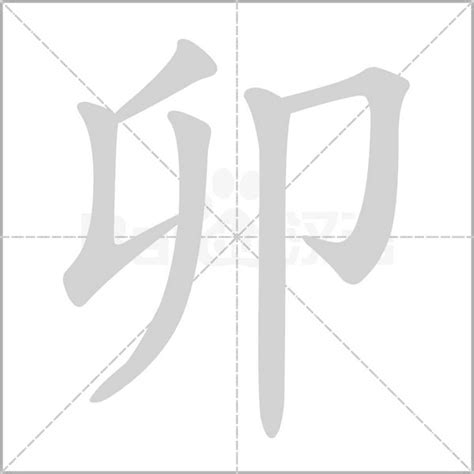 卯字根|卯（汉字）